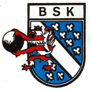BSV Logo
