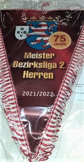 Meister - Wimpel